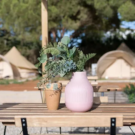 Glamping La Mimosa Campingplads *